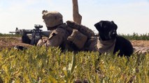 U.S. Marines - Patrol Base Operation - Helmand Province, Afghanistan