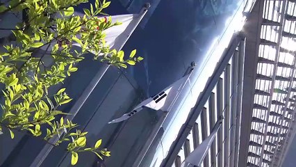 4월 19일 김진의 돌직구쇼 오프닝