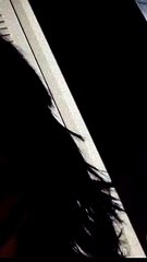 Astral Cartography and confirmation bias causes face tatted “mixed race” girl to cry