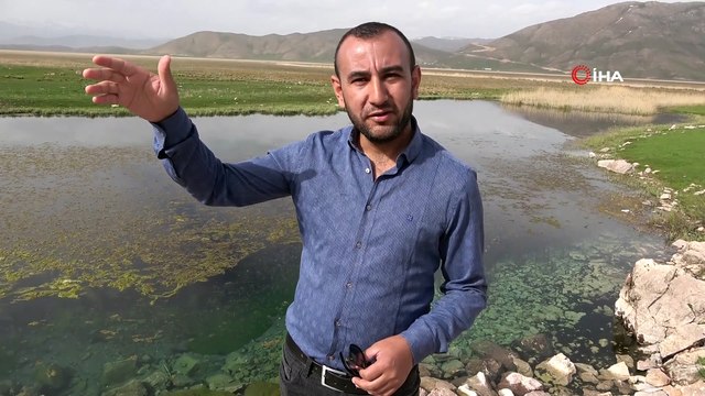 Yüksekova’da sürü halinde güneşlenen yılanlar Brezilya’nın ‘Yılan Adası’nı andırıyor