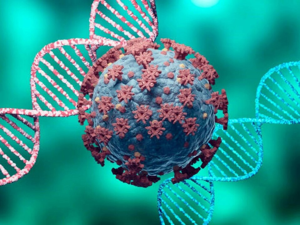 Neue Corona-Variante B.1.617: Das wissen wir darüber