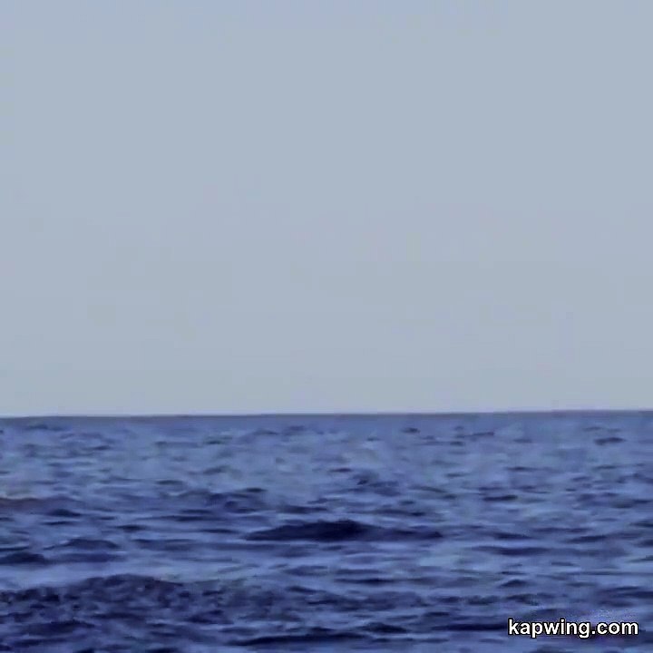 Best videos, Top videos, Viral videos Funny videos no. 131