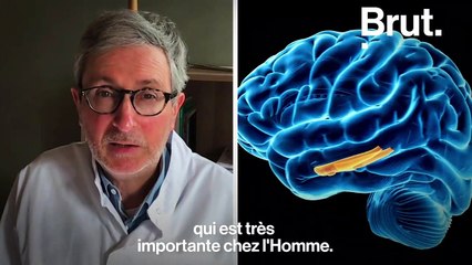 D'où vient la surprenante sensation de déjà-vu ?