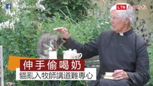 趁牧師不注意狂偷奶喝！教堂直播講道亂入貓吸走全體目光