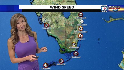 Julie Durda on WPLG Local 10 (19/04/2021)