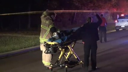 Choque mortal en Houston de un Tesla sin conductor.