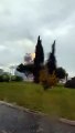 Puglia: fulmine colpisce una palma, incendio a Lecce - VIDEO