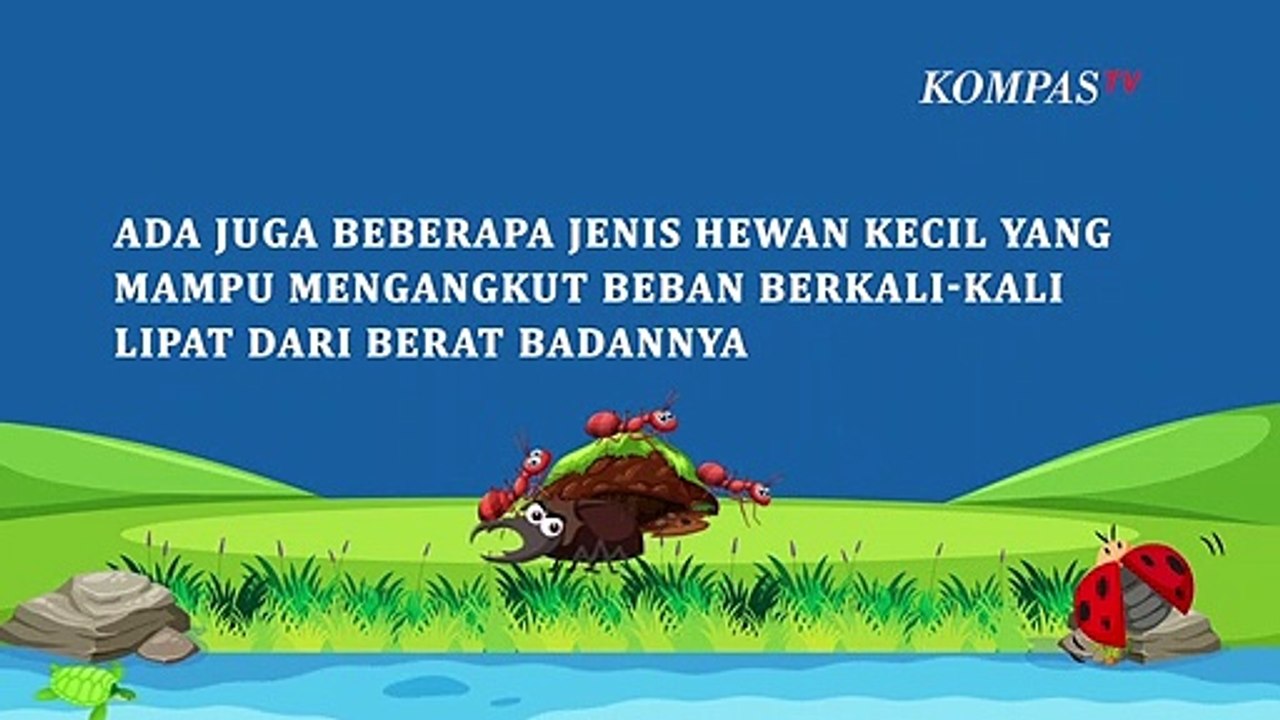 Hewan-hewan Terkuat di Dunia, Bisa Angkat Beban Lebih Berat dari Tubuhnya