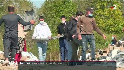 1er mai : la récolte du muguet a débuté