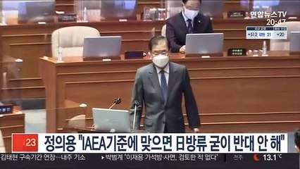 정의용 "IAEA 기준에 맞으면 日 방류 굳이 반대 안 해"