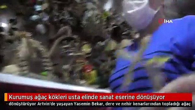 Kurumuş ağaç kökleri usta elinde sanat eserine dönüşüyor