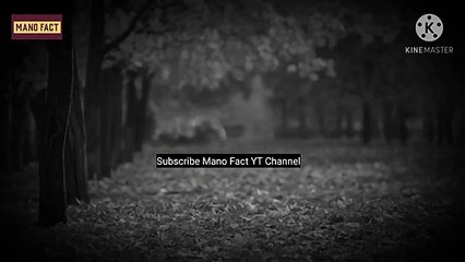 Maulana Tariq Jameel Bayan (Whatsapp Status) | Sabr صبر  | Molana Tariq Jameel Status | Mano Fact✨