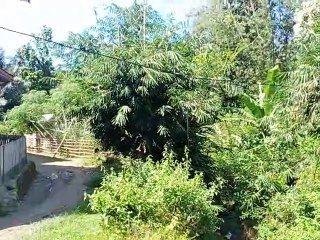 Sebulan Lebih Tiang Listrik Samping SDN 10 Ratte - Majene Roboh