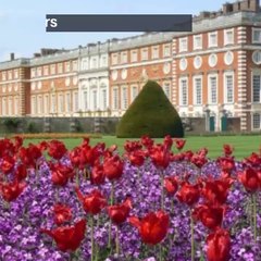 Royal Palace displayed over 100,000 Tulip flowers