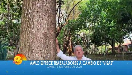 En la mañana trae las noticias más importantes del día