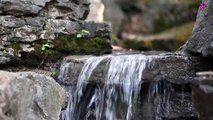 15 Minute Meditation Music | Peaceful | Spa | Relaxation | Soothing | Calming | Beautiful | Waterfall | Nice | Study | Sleep | Positive Energy | Anxiety Relief