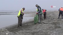 Van Gölü sahilinde temizlik çalışması