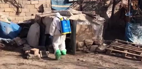 Kızıltepe'de kuş gribi tespit edildi