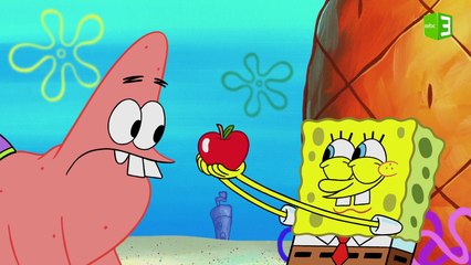 كيف أصبح بسيط حصان؟ 