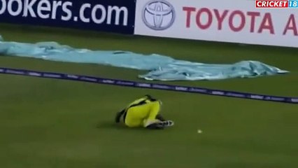 Top 8 Funniest Moments in Cricket. So Funny. Laugh straight for 4 minutes.