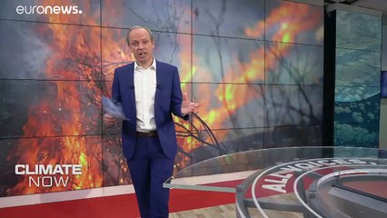 Could climate data help beat wildfires?