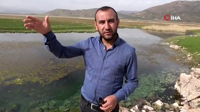 Yer: Hakkari! Sürü halinde dolaşan yılanlar korku saçıyor