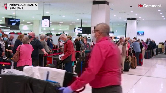 'We are so lucky': New Zealand-Australia travel bubble opens