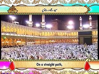 Surah Yaseen Translation in Urdu & Hindi – Understand Its Meaning Easily 📖