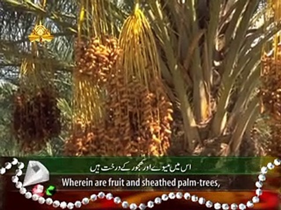 surrah_Rehman_with Translation In Urdu and Hindi