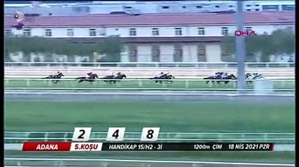 Yarış sırasında feci kaza; attan düşen jokeyin durumu ciddi