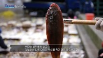 [HOT] collagen-rich fish, MBC 다큐프라임 210124