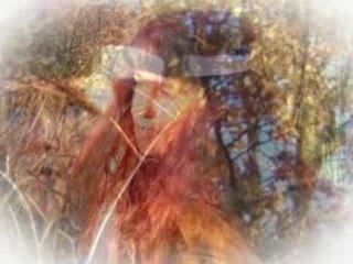 WELENGA LA CONSCIENCE UNIVERSELLE