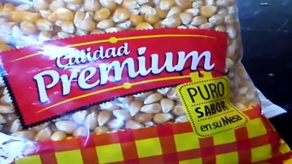 Germina Palomitas de Maí_z!!! (Zea Mays Everta)