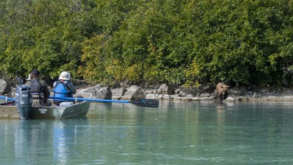 Alaska Will Give Tourists Free COVID-19 Vaccines This Summer