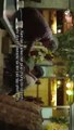 Cây Táo Nở Hoa Tập 10 - 11 - 12 - phim Chuyện Nhà Poong Sang - Phim hàn quốc HTV2 - xem phim cay tao no hoa - chuyen nha Poong Sang tap 10 - 11 - 12