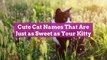 Cute Cat Names That Are Just as Sweet as Your Kitty
