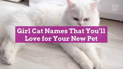 Girl Cat Names That You'll Love for Your New Pet