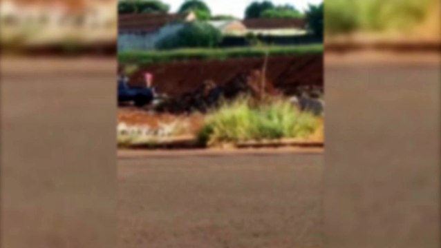 Descarte irregular de lixo trás prejuízo a moradoras do conjunto Gralha Azul