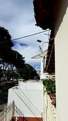 EMBRAER KC 390  and NORTHROP F5 m PASS IN  HIGH SPEED