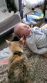 Cat Welcomes Newborn to Family