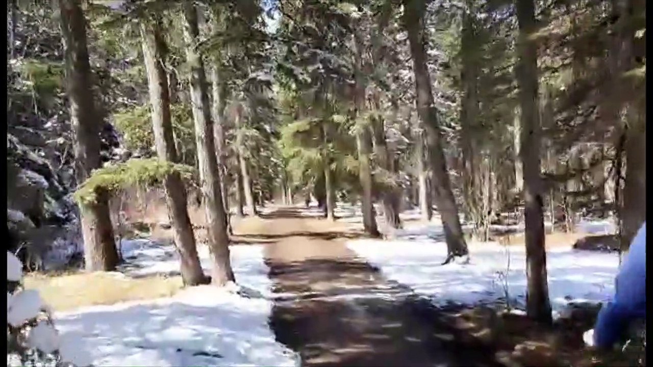 James W. Pickering visits Bowness Park in Calgary, Alberta!