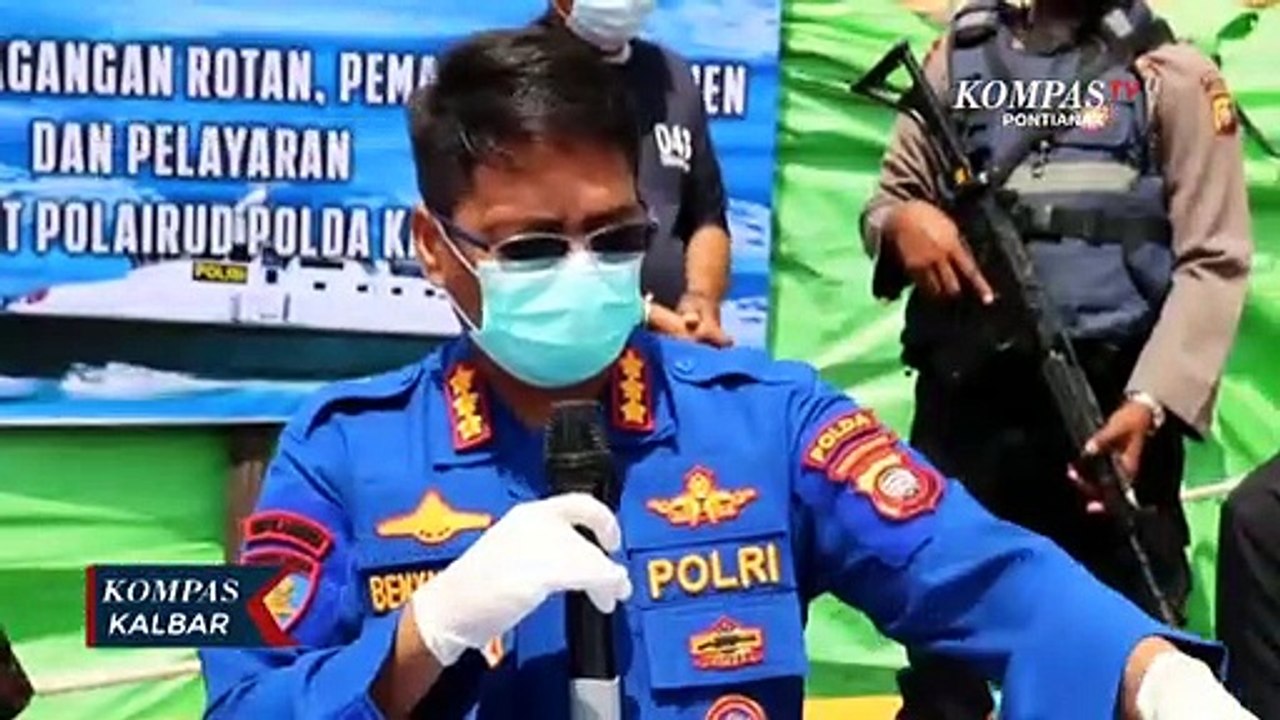 Polairud Polda Kalbar Amankan Ratusan Ton Rotan Ilegal yang akan Dikirim ke Malaysia