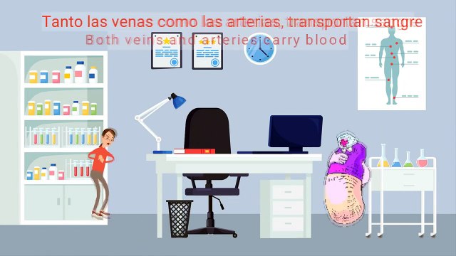 ¿Para qué sirven las venas y las arterias?
