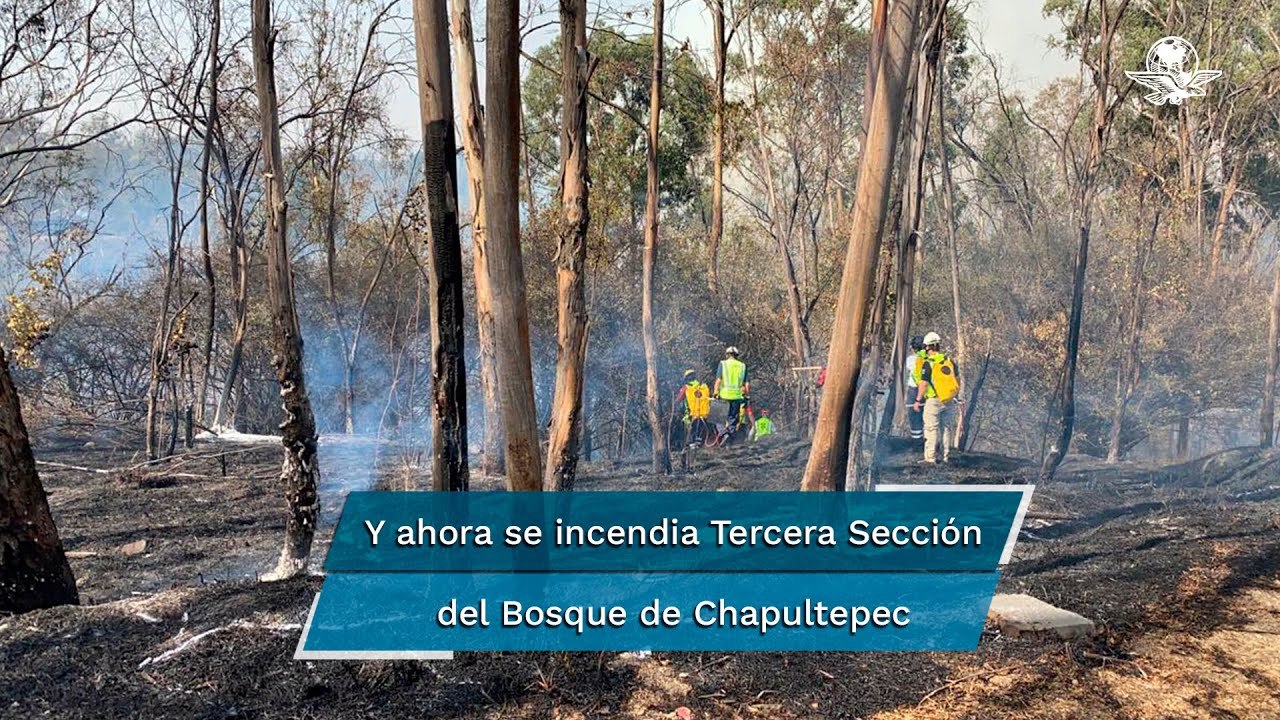 Se quema el Bosque de Chapultepec