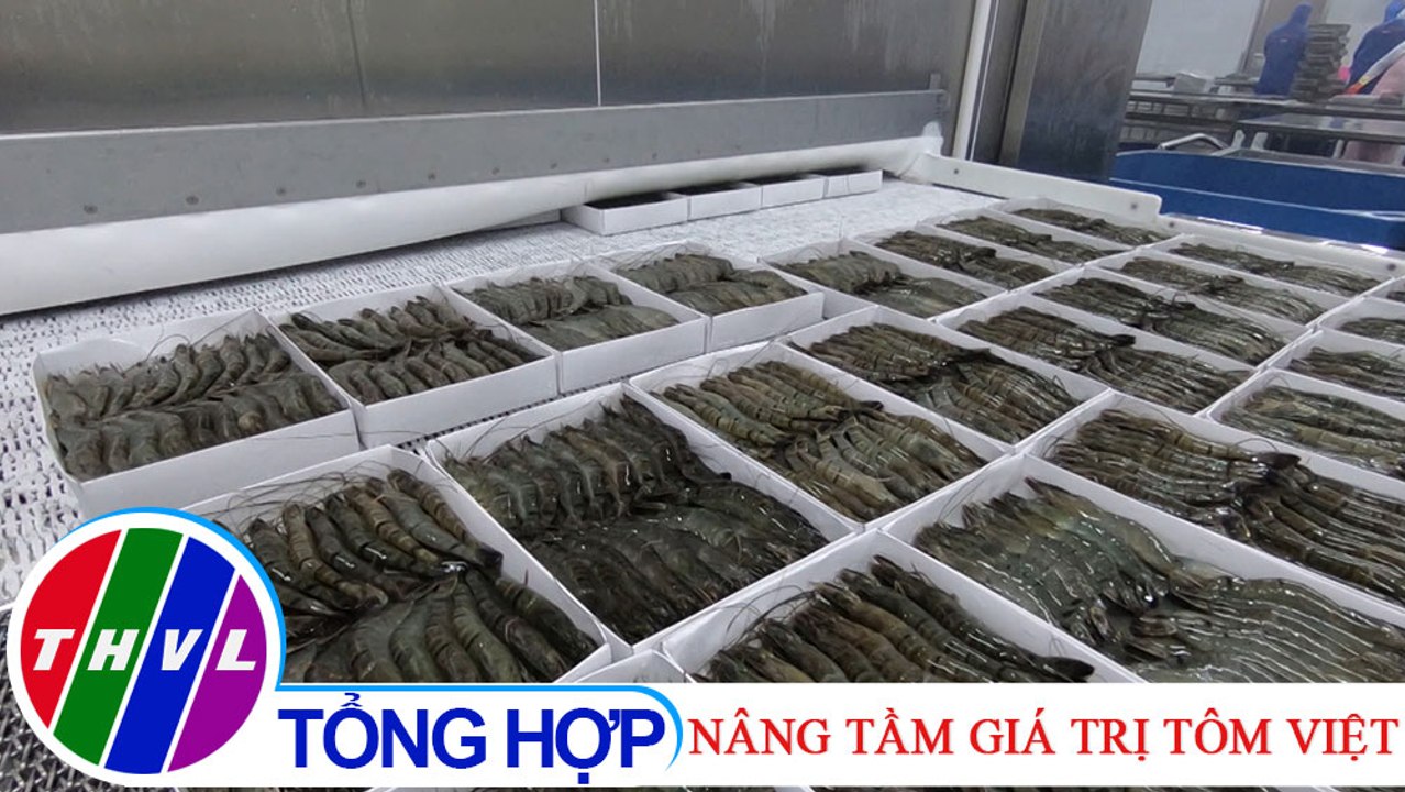 Chuyên đề kinh tế: Nâng tầm giá trị tôm Việt