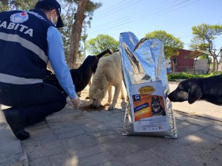 Şahinbey'de sokak hayvanları unutulmuyor