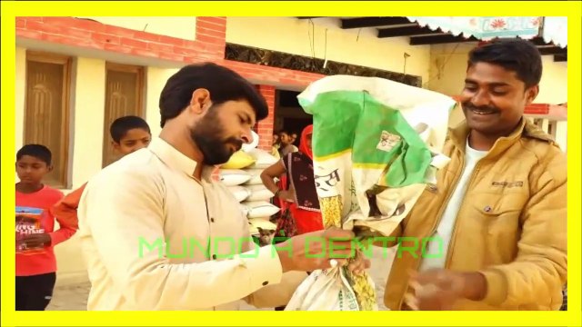 Veja, pela primeira vez, os animais machos e fêmeas se juntaram após o resgate