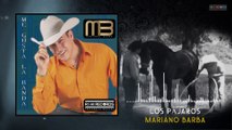 Mariano Barba - Los Pájaros (VideoLyrics)