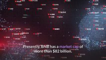 Crypto News - Binance Coin and Ethereum Leading Market Recovery - Bitcoin News