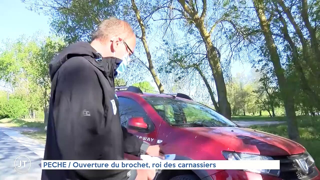 PÊCHE / Ouverture du brochet, roi des carnassiers
